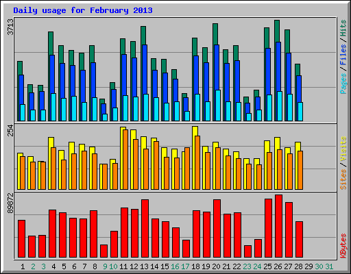 Daily usage for February 2013