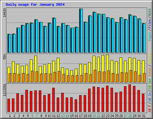 Daily usage for January 2024