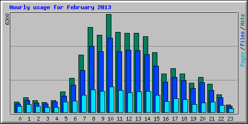 Hourly usage for February 2013
