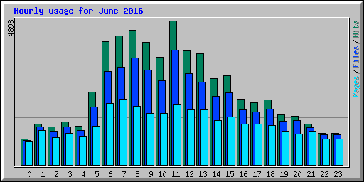 Hourly usage for June 2016