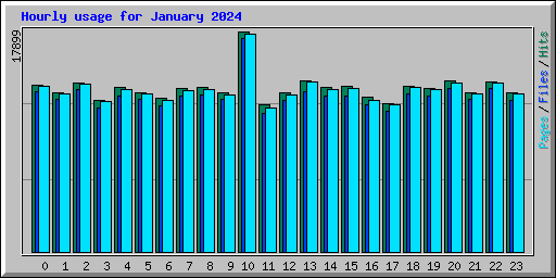 Hourly usage for January 2024