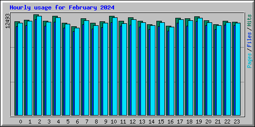 Hourly usage for February 2024