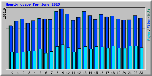Hourly usage for June 2025