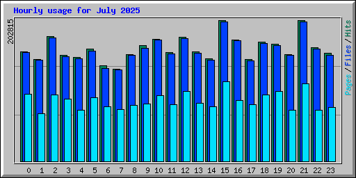 Hourly usage for July 2025