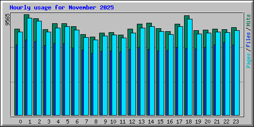 Hourly usage for November 2025