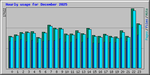 Hourly usage for December 2025