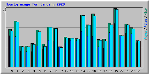 Hourly usage for January 2026