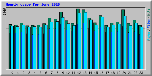 Hourly usage for June 2026