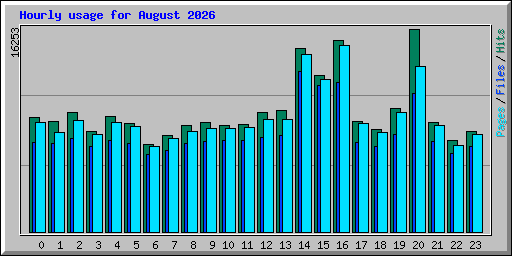 Hourly usage for August 2026